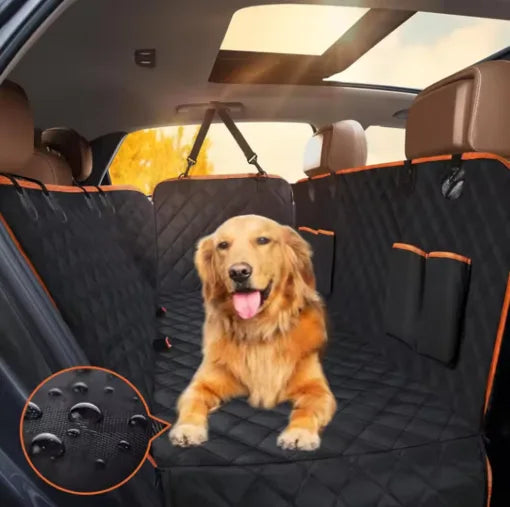 golden retriever sur protection voiture chien attend maitre