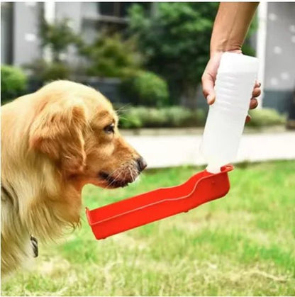 golden retriever vise eau descend gourde pour chien rouge
