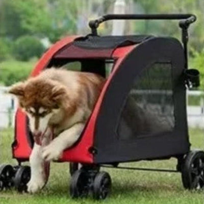 grand chien dans poussettes pour chiens robuste rouge