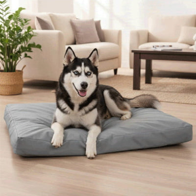 grand husky detendu salon coussin pour chien ortho