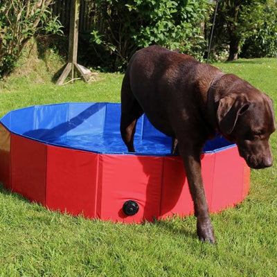 grande piscine pour chien rouge pvc renforce durable