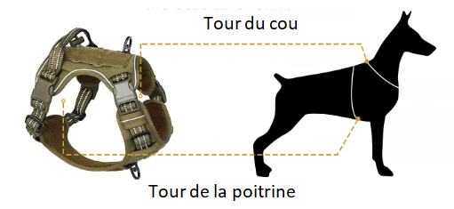 guide de mesure pour ajustement parfait du harnais chien