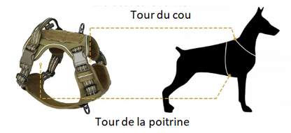 guide de mesure pour ajustement parfait du harnais chien