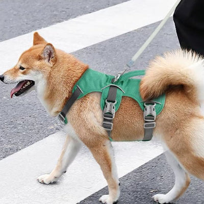 harnais chien randonnee ergonomique repartit pression poitrail gorge protegee