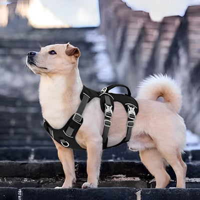 harnais chien randonnee six clips robustes habillage rapide trois secondes