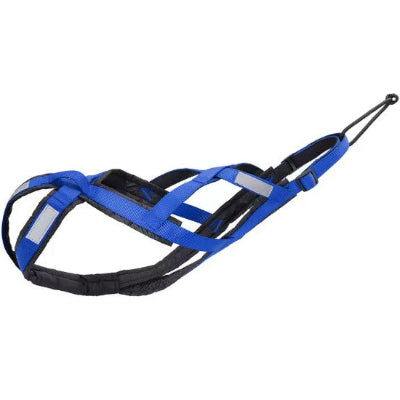 harnais de traction pour chien bleu