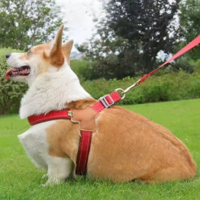 harnais en y chien corgi rouge laisse parc