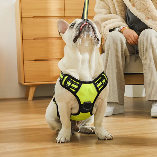 Harnais pour chien|confortable harness - Chien dynamic