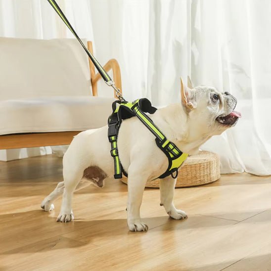 Harnais pour chien|confortable harness - Chien dynamic