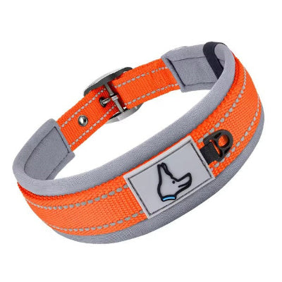 haute visibilite orange fluo collier pour chien neoprene