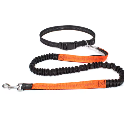  haute visibilite securite laisse canicross orange