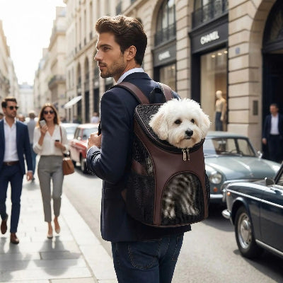 homme portant sac a dos chien base rigide
