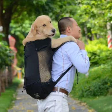 homme portant sac a dos pour chien bretelles ajustables
