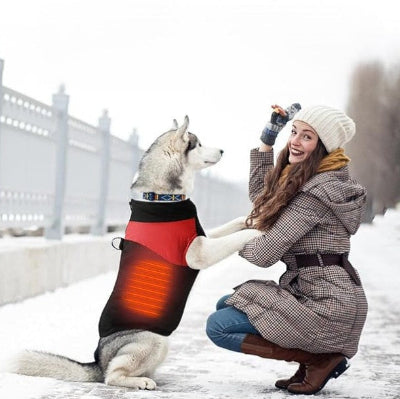 husky portant vetement pour chien chaud sur neige