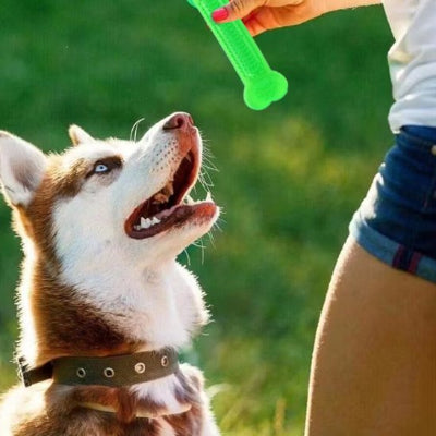 husky vise jouet chien indestructible vert