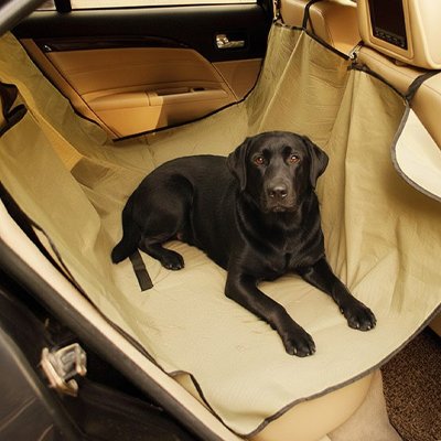 impermeable housse voiture chien beige protege sieges arriere impeccablement      