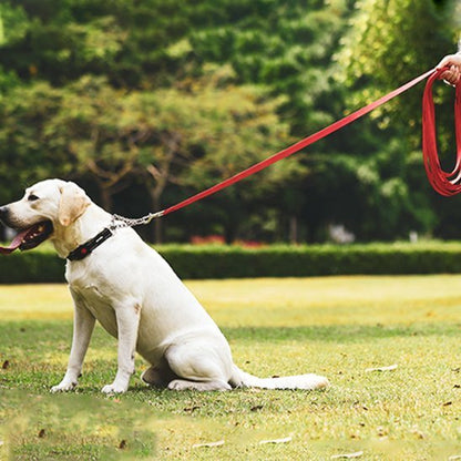 labrador assis en parc vetu laisse pour chien rouge