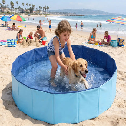 labrador avec enfant dans piscine pour chien sur sable mer
