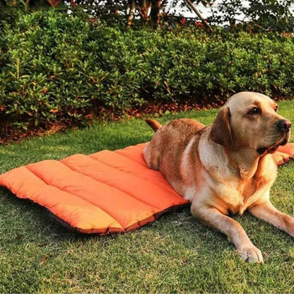 labrador jardin assis tapis pour chien orange