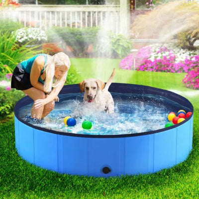labrador joue dans piscine pour chien pvc avec balles