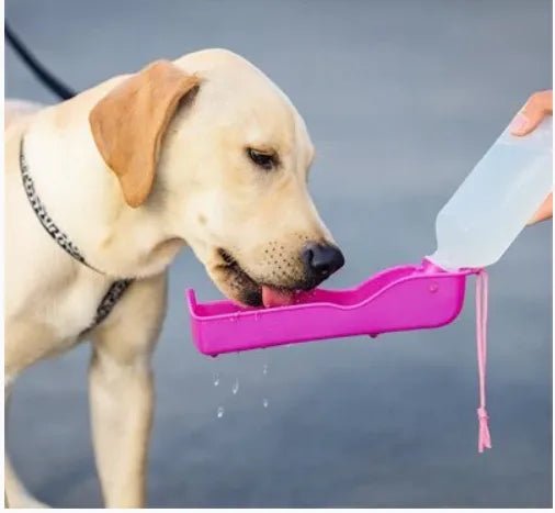 labrador lape eau par gourde pour chien rose