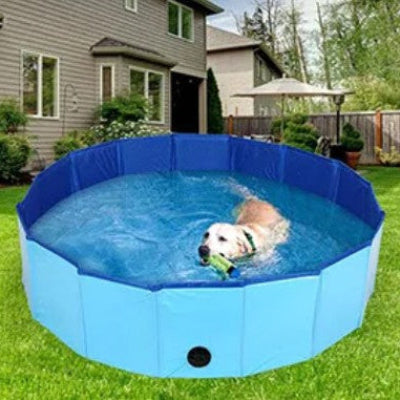 labrador nageant dans piscine pour chien antiderapante bleue