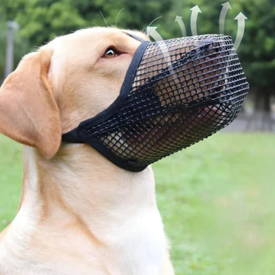 labrador porte museliere chien noire respirante