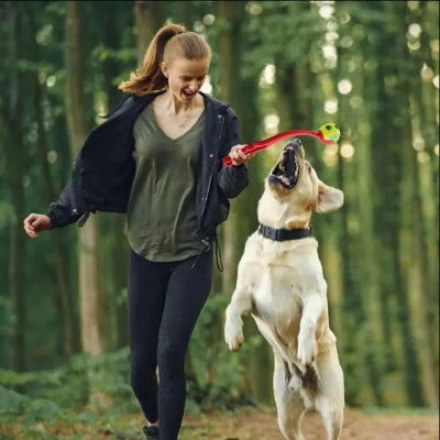 labrador saute lanceur de balle pour chien confortable