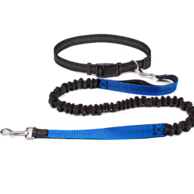 laisse canicross bleue reflechissante amortisseur elastique