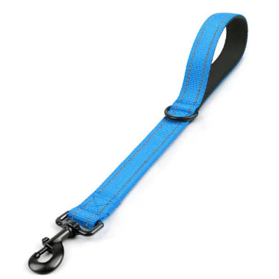 laisse chien courte bleue avec systeme anti traction