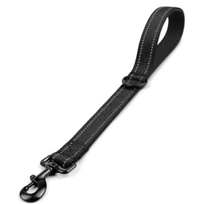 laisse chien courte noire poignee rembourree mousqueton robuste
