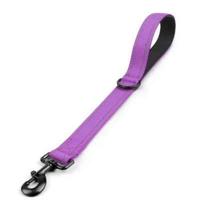 laisse chien courte violet avec coutures reflechissantes 