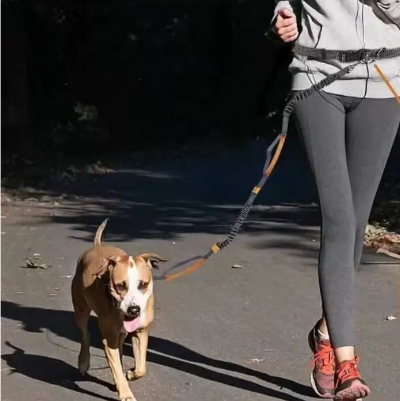 laisse chien main libre jogging course confort