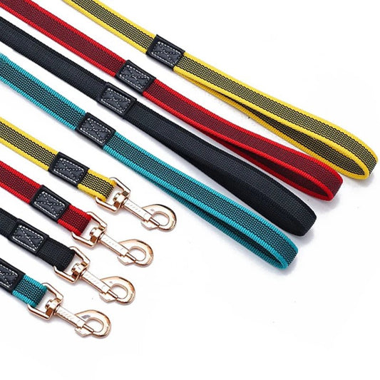 Laisse pour chien quatre differentes couleurs