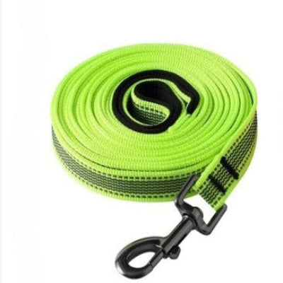laisse pour chien verte