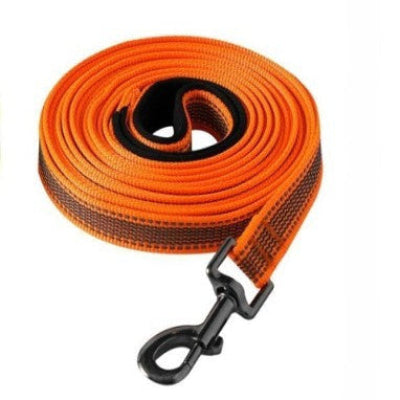 laisse-pour-chien-orange