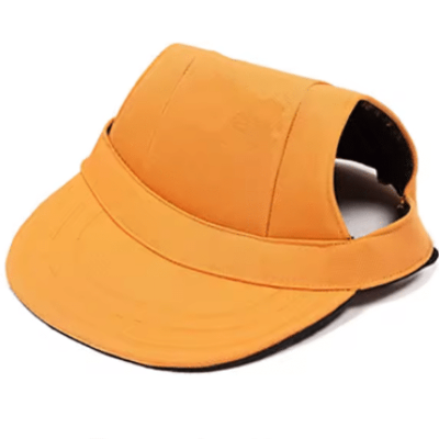 legere casquette chien orange