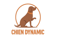 Logo Chien Dynamic