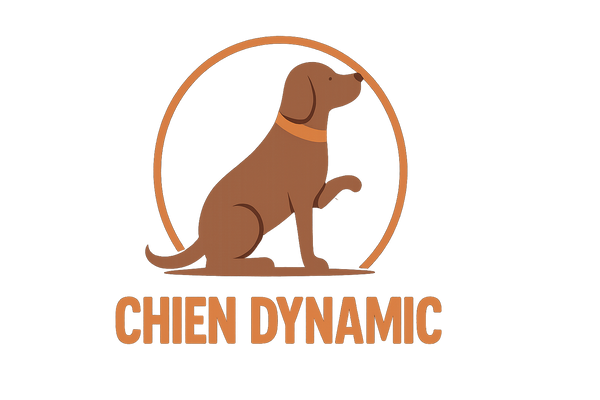 Logo Chien Dynamic