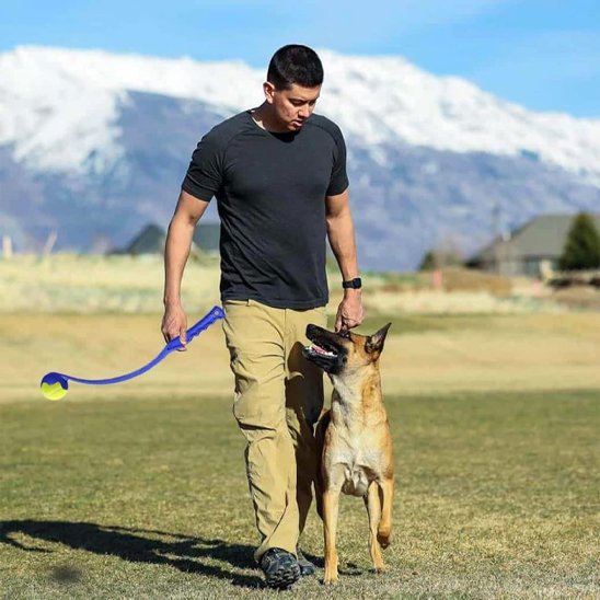  malinois entraine avec lanceur de balle pour chien