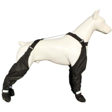 mannequin chien equippe de chaussure chiens hiver  protection complete