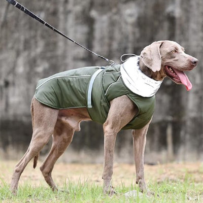 manteau pour chien vert ajustable grande taille