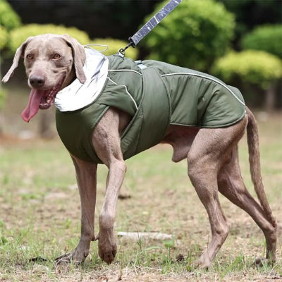 manteau pour chien vert col rembourre vetu braque de weimar