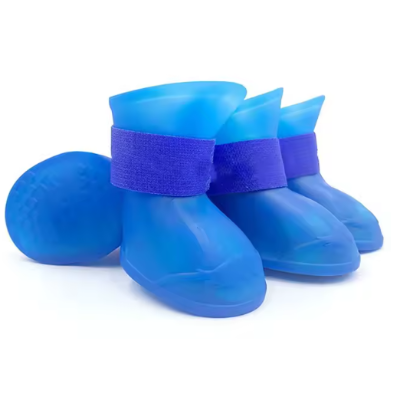 marche urbaine chaussure chien bleu look moderne