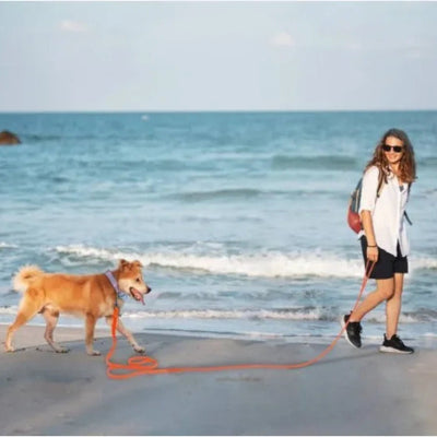 max maitre promenent mer avec longe pour chien orange