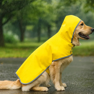 max portant manteau chien jaune avec chapeau sous pluie