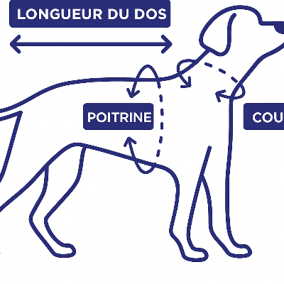 mesure sur croquis manteau chien