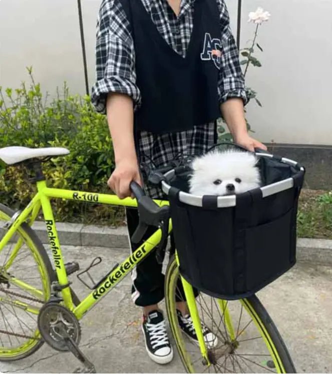 milou dans panier velo chien prepare pour voyage