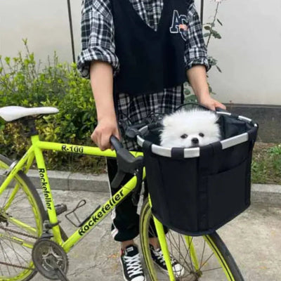 milou dans panier velo chien robuste prepare voyage