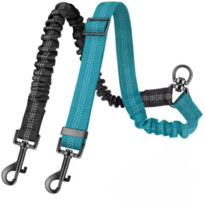  mousquetons metal laisse double pour chien bleue securisee